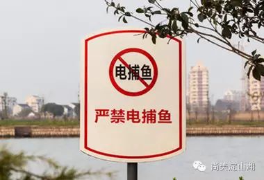 电鱼等破坏渔业资源的方法进行捕捞,禁止制造,销售,使用禁用的渔具