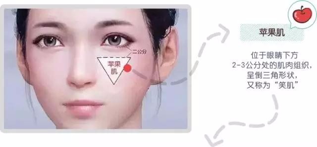 苹果肌并不是肌肉,要是颧骨前的脂肪组