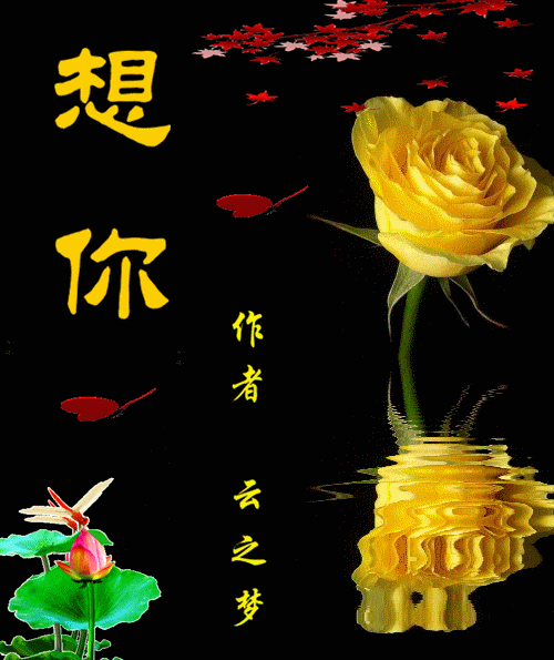 早上好~情感求赞求赞