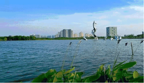 500_289gif 动态图 动图