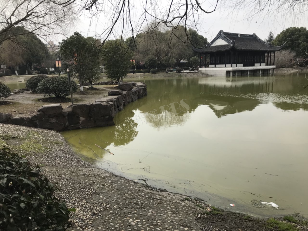 千灯石浦公园的水景已经变成了臭水坑,请相关部门重视