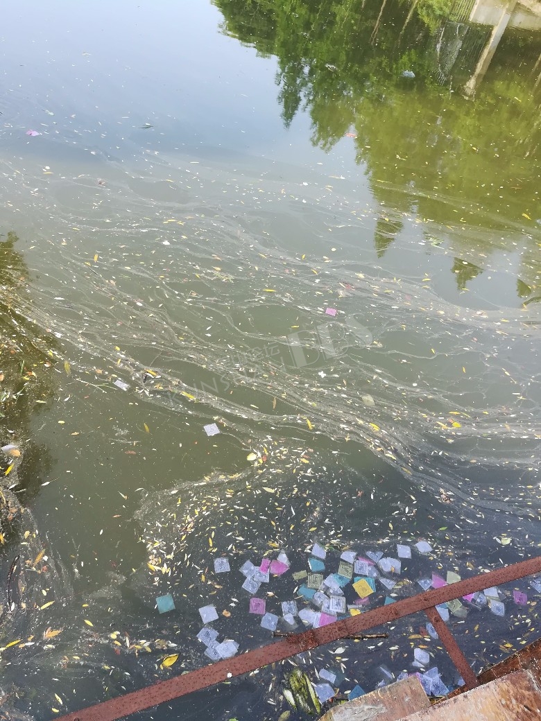 花桥水体越来越差了 不仅水面垃圾多 水的颜色已经变的太深太浑浊了