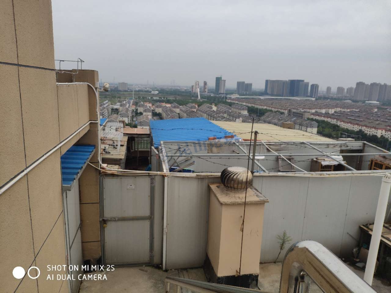 你们养鸽子问过别的住户