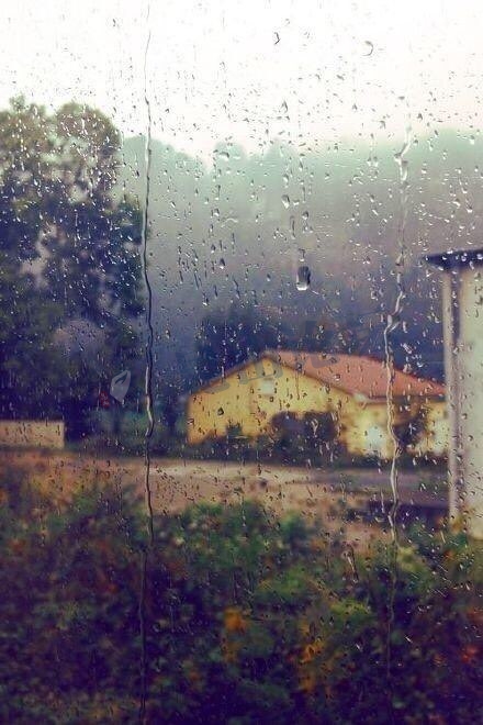 淋过雨的空气,疲倦了的伤心,记忆里的童话,开始慢慢