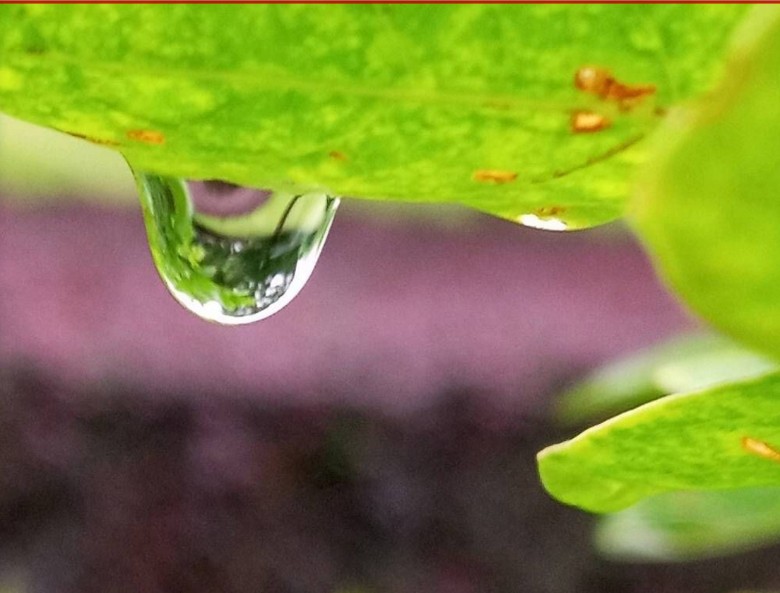 一滴雨,一扇门