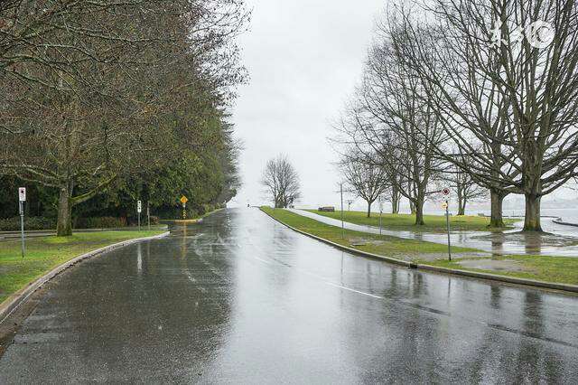 雨天,很容易回忆,很容易想念;雨生万物,雨润百谷
