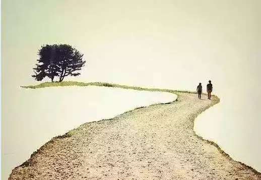 秋雨如帘,掀开帘的一角,看见了岁月流逝,季节飞转