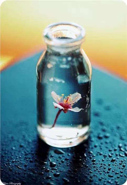 别人怎么看你不重要,唯一重要的是你很喜欢真实的自己.