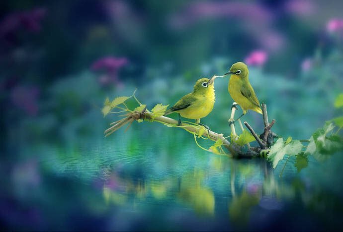 好鸟啼春闻香舞,好花吟暖见风簇