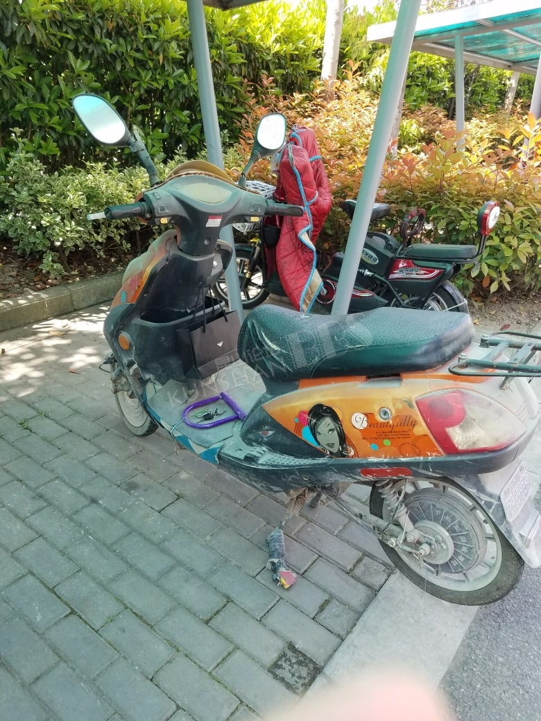 【已转让成功,勿扰!】出售电瓶车 500元