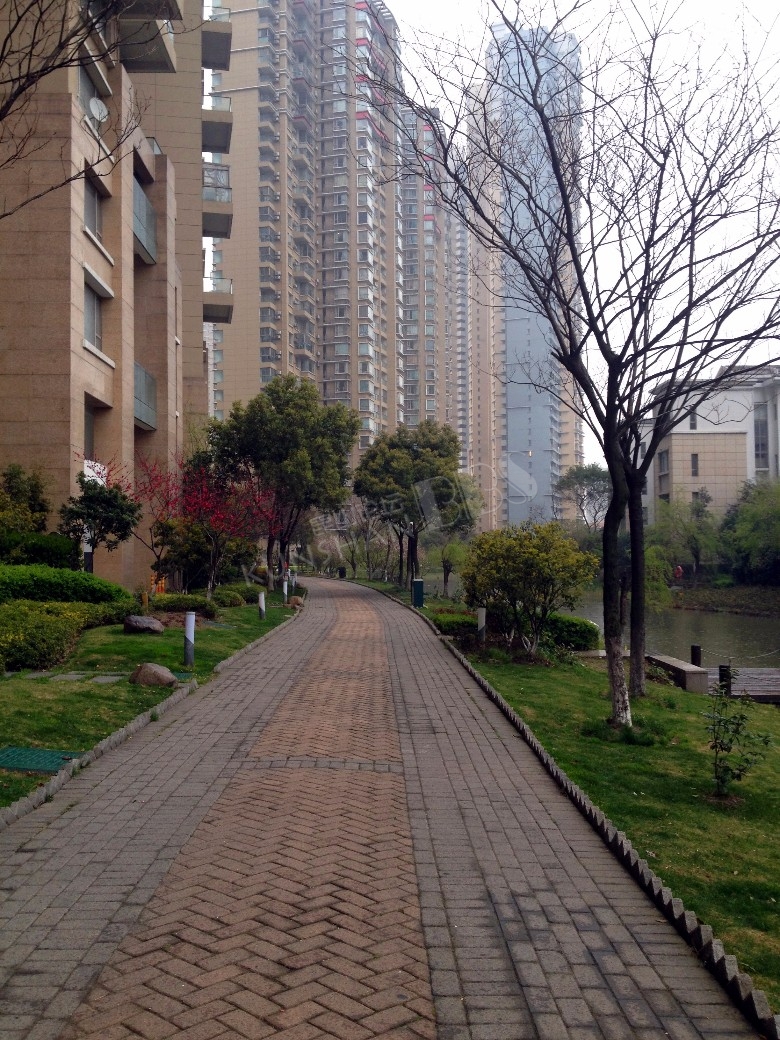 网红小区美图多