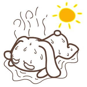 别把出汗当成坏事!相反,出汗,好处多多!