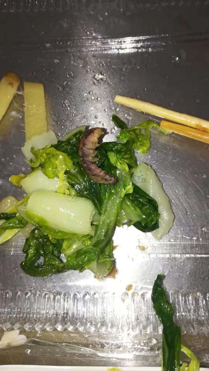 公交公司汽车客运南站的食堂吃出这么大一个虫子小菜青