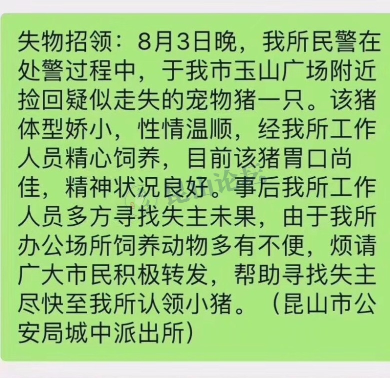 昆山城中派出所发布"寻猪主人启事",警察叔叔不光会抓坏人,还会养猪