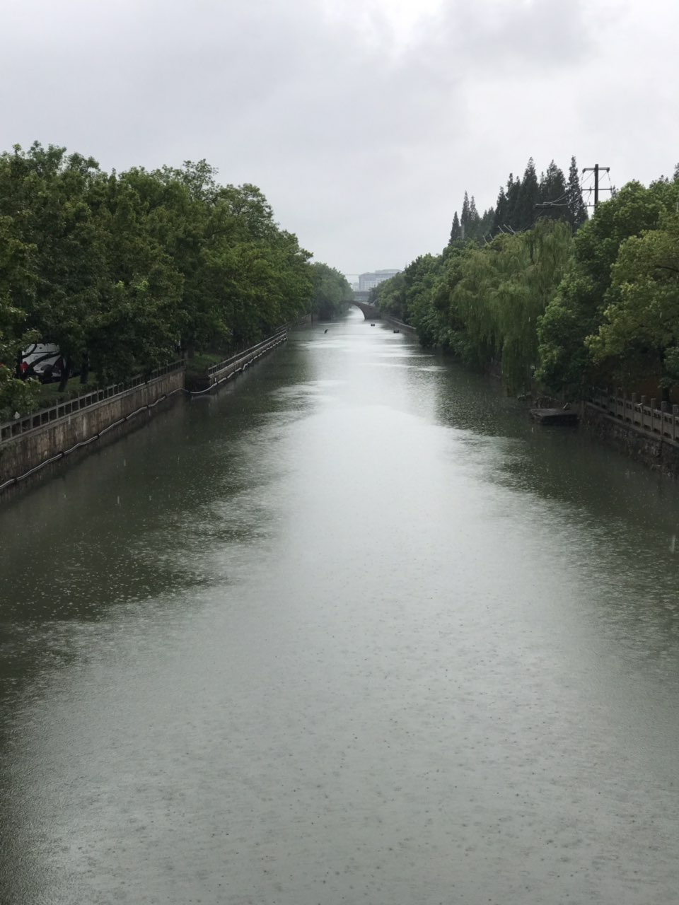 下雨天看河道,别有风味