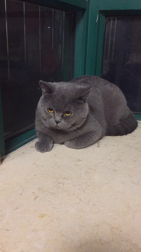 Ѱèʾглæлл
