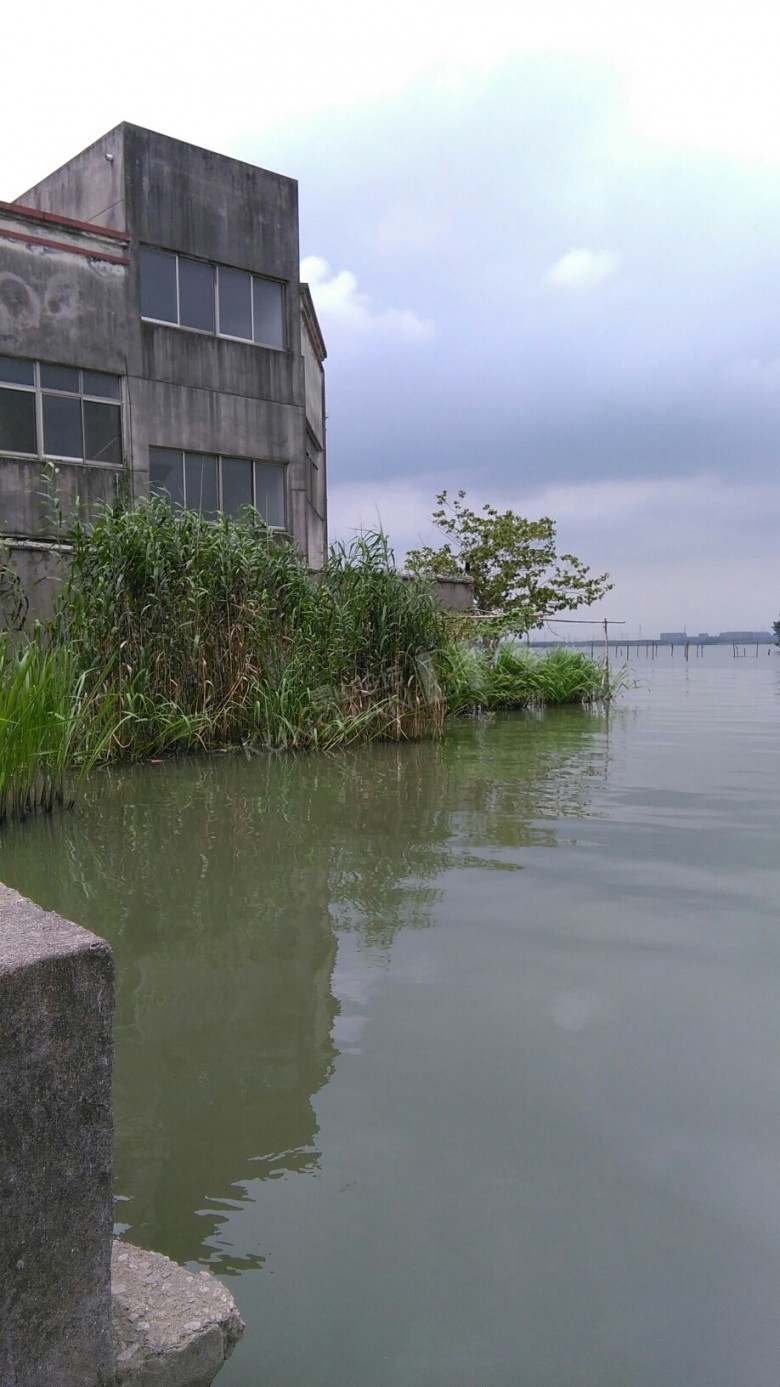 大家快来看:张浦把大市毁了