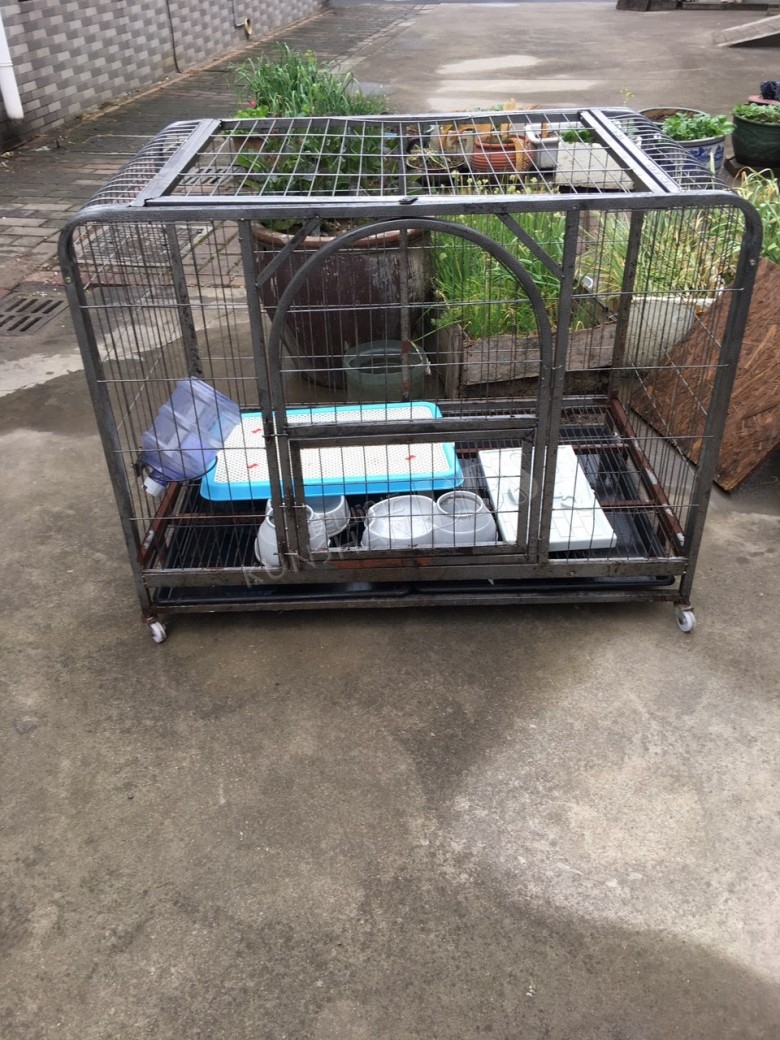 闲置一个狗笼,低价转让,成色如图,需要的扫码加微信
