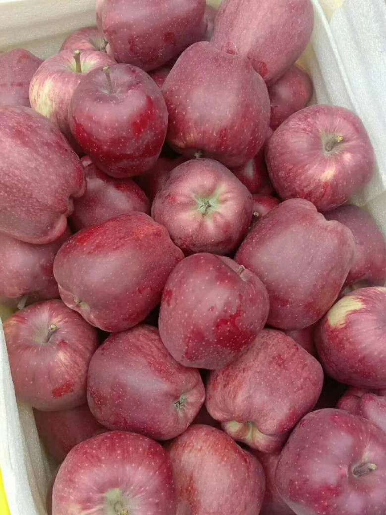 小姨自己种的蛇果,有需要联系我,价格优惠,一箱10斤58包邮哦