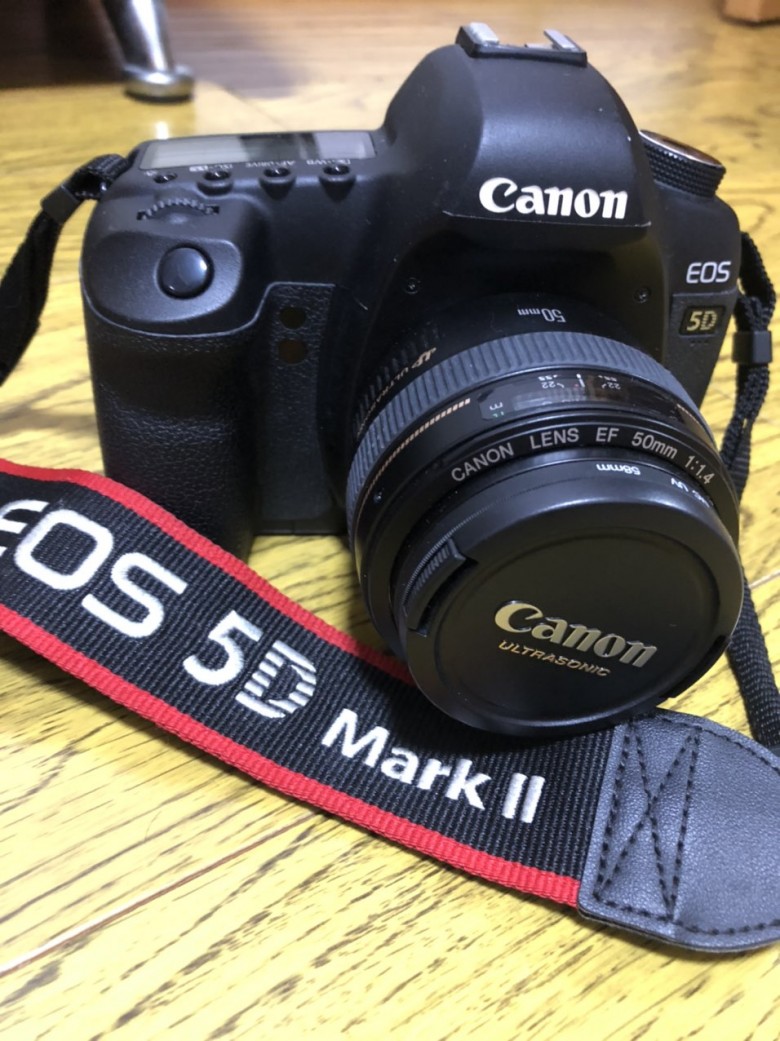 佳能5dmarkii 501.4镜头闲置